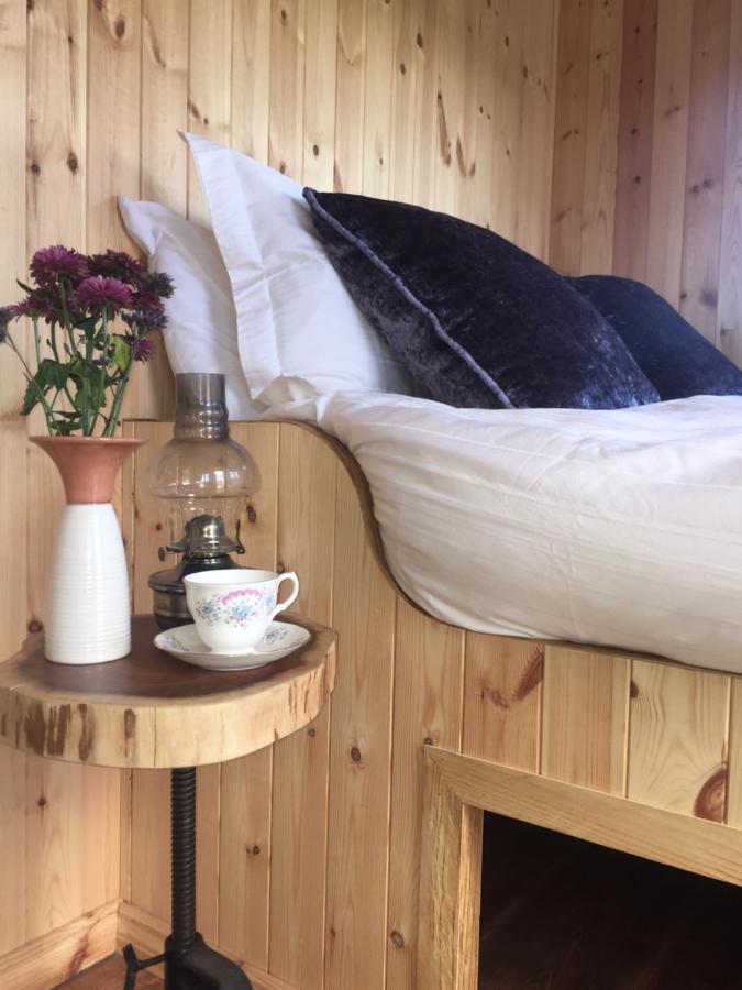 Vila Willowtree Glamping Mournes Annalong Exteriér fotografie