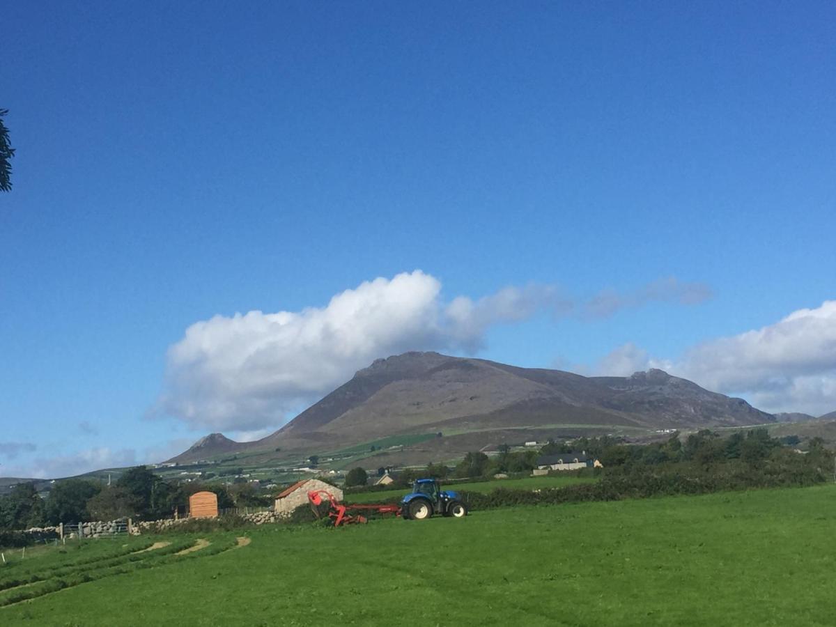Vila Willowtree Glamping Mournes Annalong Exteriér fotografie