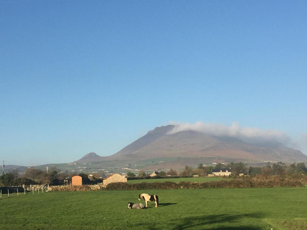 Vila Willowtree Glamping Mournes Annalong Exteriér fotografie